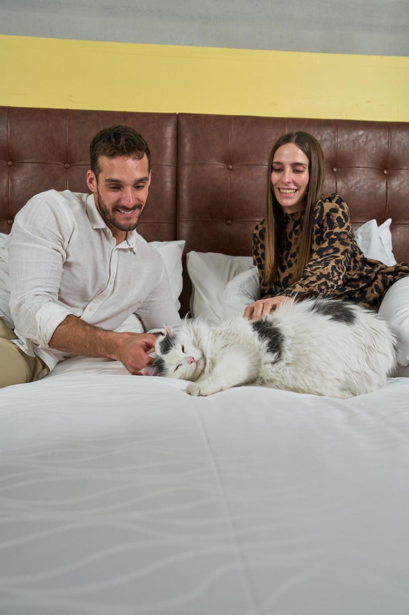 فندق Pullman Santiago El Bosque المظهر الخارجي الصورة A cat with its owners